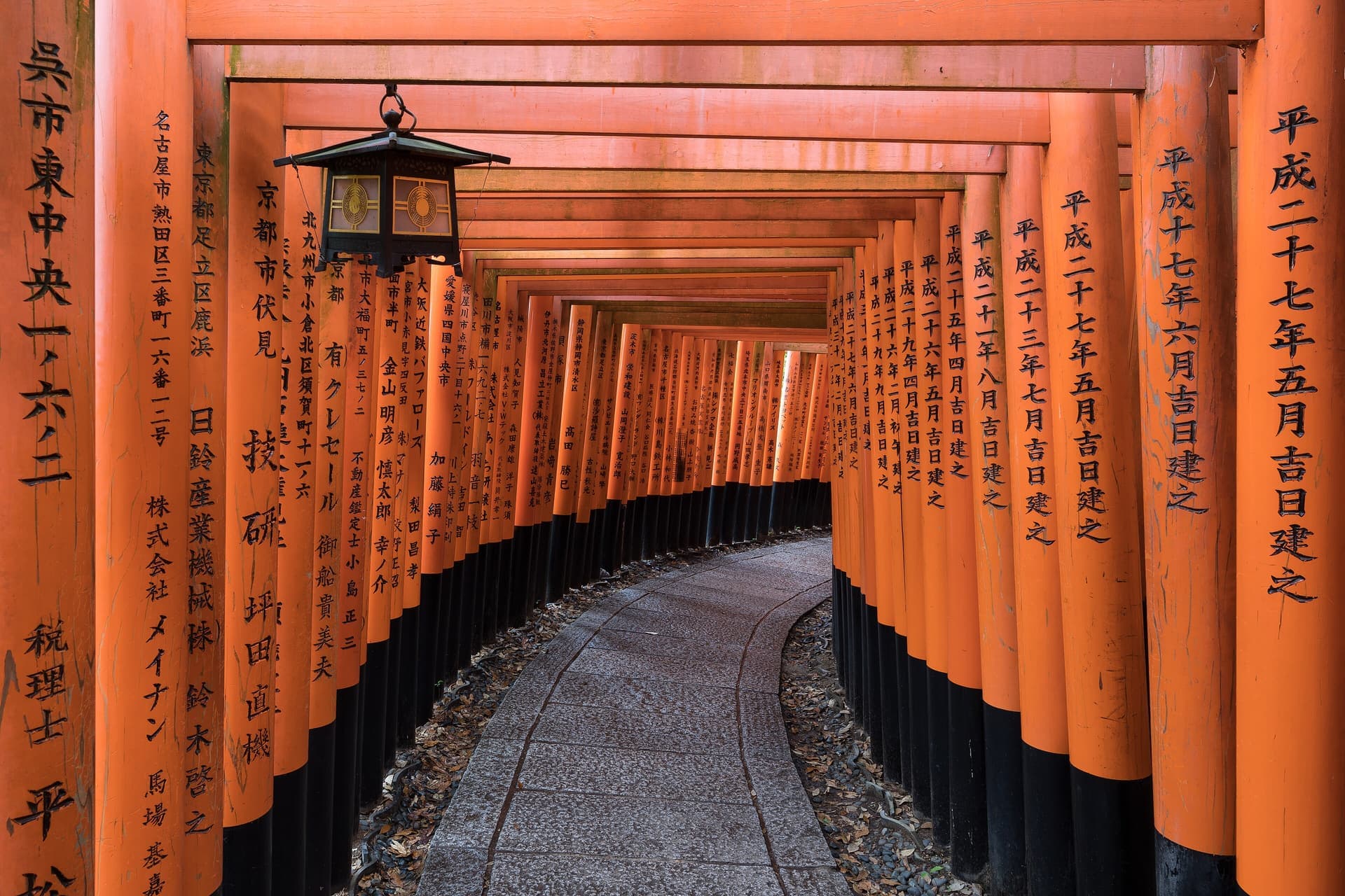 A curving path lined with vermilion torii gates and a hanging lantern at Fushimi Inari shrine, Kyoto